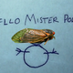 Image for article titled Georgia Moves to Decriminalize Bug Noises Even as Residents Report a Crime Wave of Cicada Horniness